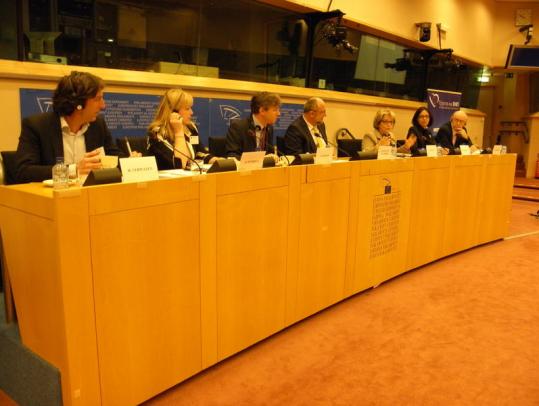 По време на конференцията "Българският прочит на докладите "Новият Ренесанс" на Комитета на мъдреците и "Стратегическият план за Европеана 2011- 2015" през март 2011г.
